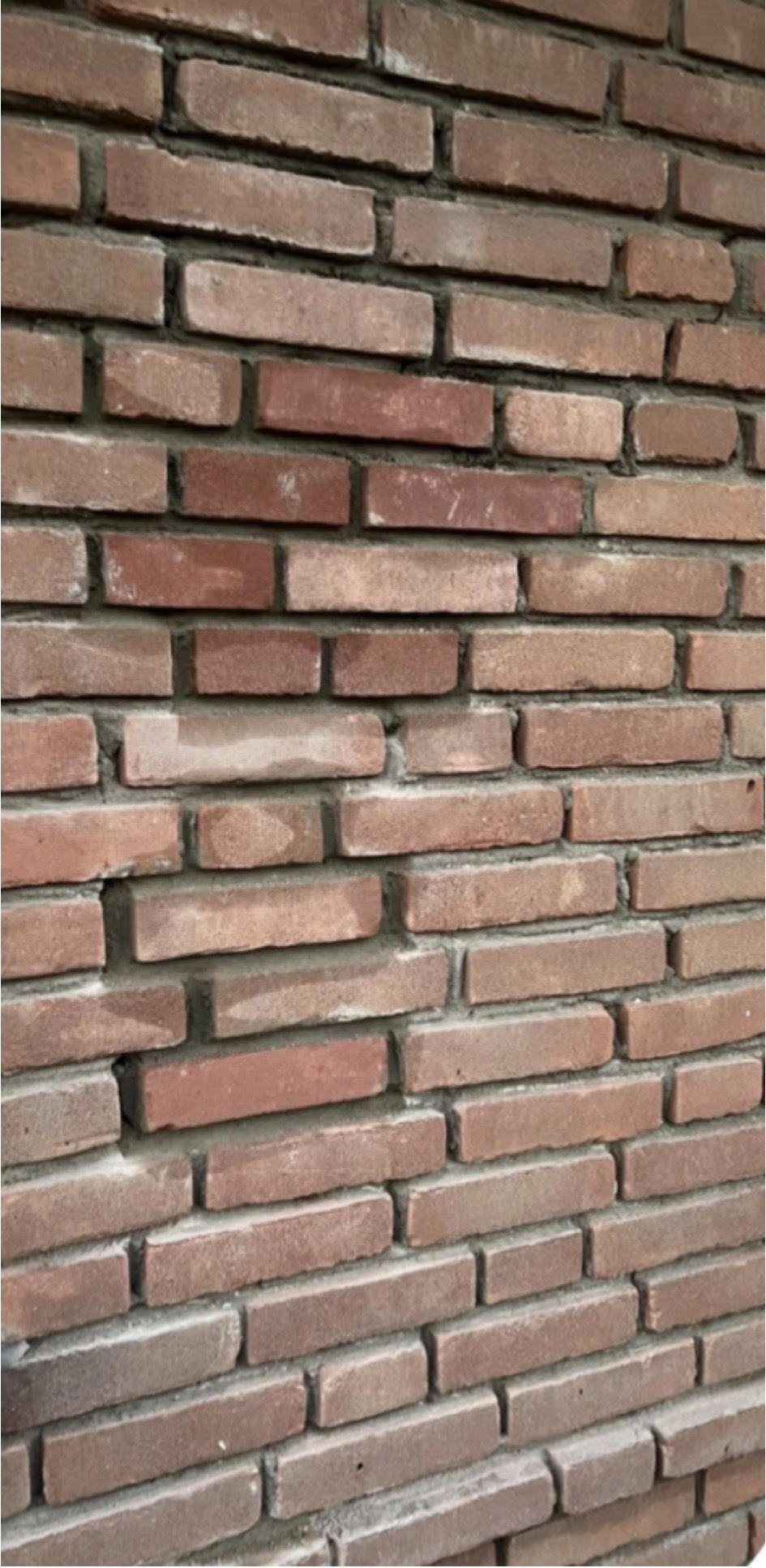 Na Gevelrenovatie Breda - Gevelrenovatie woning — compleet vernieuwd voeg- en metselwerk Breda